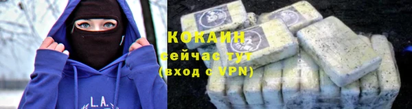 дживик Алзамай