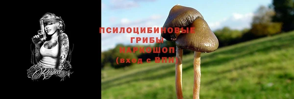 дживик Алзамай