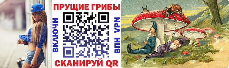 Псилоцибиновые грибы Magic Shrooms  Ленинск-Кузнецкий 