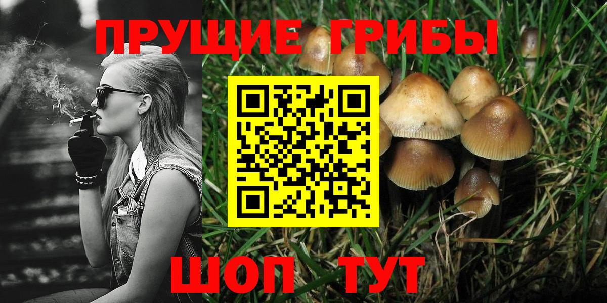 Ленинск-Кузнецкий  Галлюциногенные грибы Cubensis  даркнет сайт  Вход с VPN 